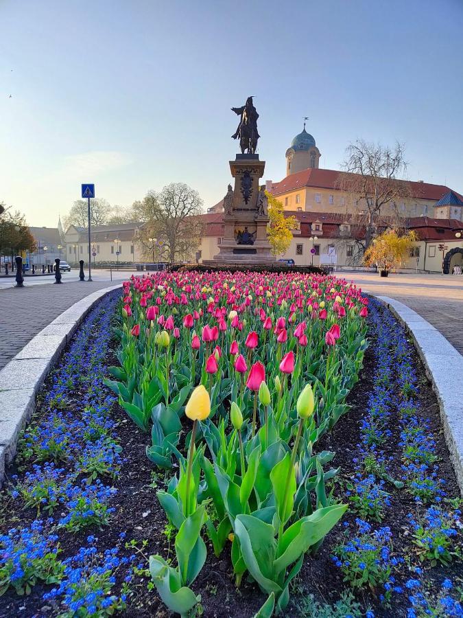 Homestay Подебрады Экстерьер фото